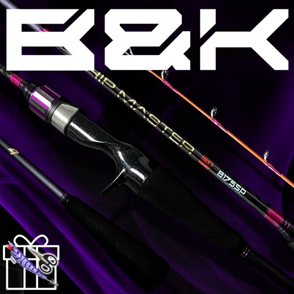 비앤케이 쉽마스터 블랙 이카메탈