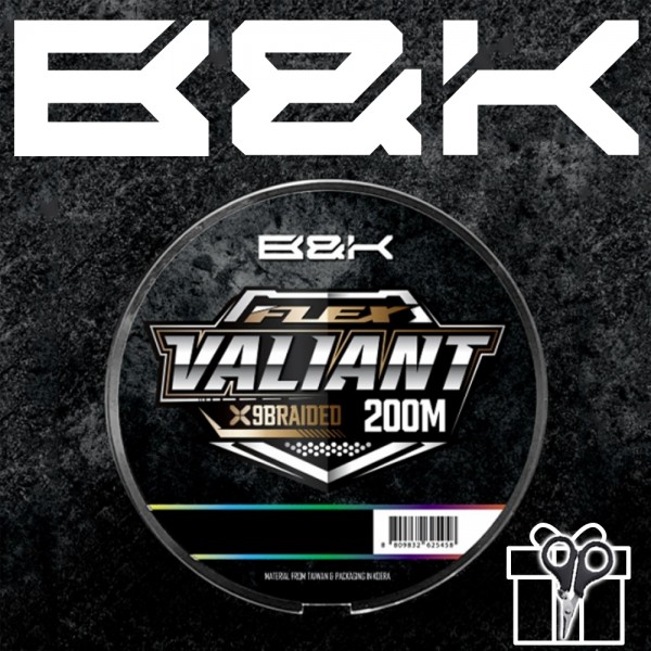 비앤케이 발리안트 플렉스 9합사 200m 5색